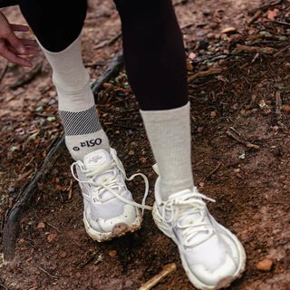 Merino Wool Wicked Comfort Socks | Crew - Mushroom