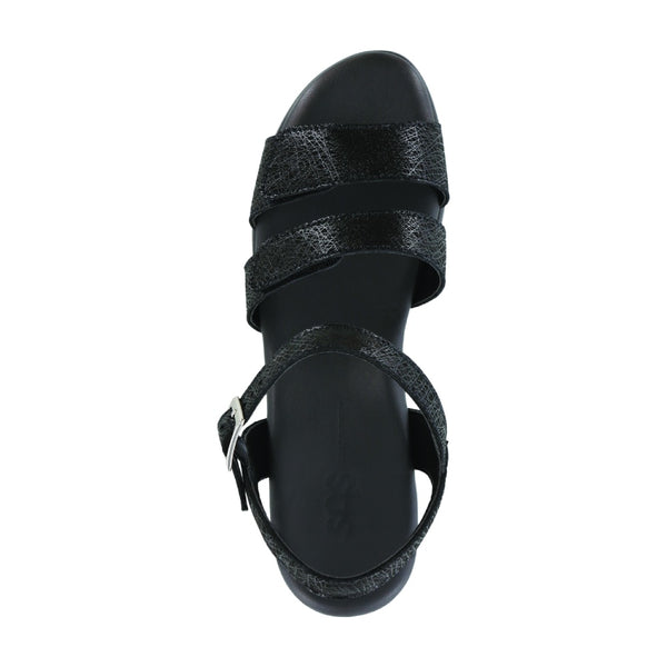 savanna web black